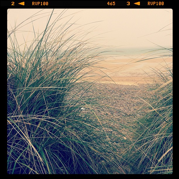 La plage de Vauville à marée basse.
